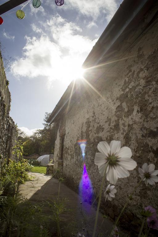 The Black Sheep Hostel Killarney Exterior photo