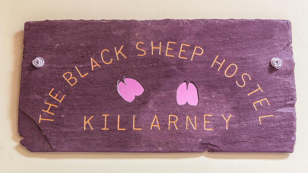 The Black Sheep Hostel Killarney Exterior photo